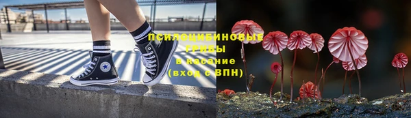 прущая мука Абаза