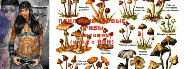 МДМА Абдулино