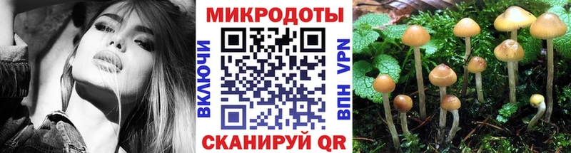 Псилоцибиновые грибы мухоморы  закладки  Каменка 